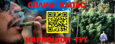 мяу мяу мука Бугуруслан