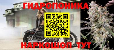мяу мяу мука Бугуруслан