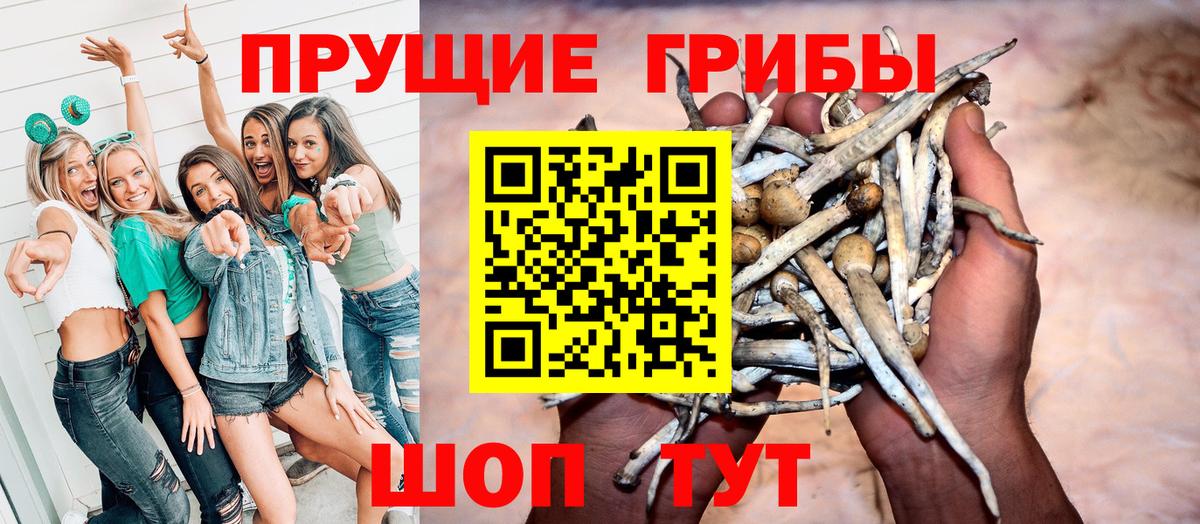 Галлюциногенные грибы мухоморы Тында