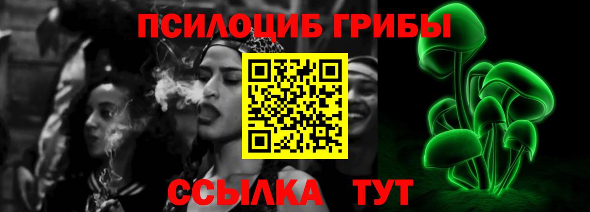 Галлюциногенные грибы Psilocybe  Вход с VPN  Тында 